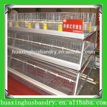 galvanized day old broiler chicks/chick brooder for sale
